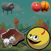 paydym Online Games